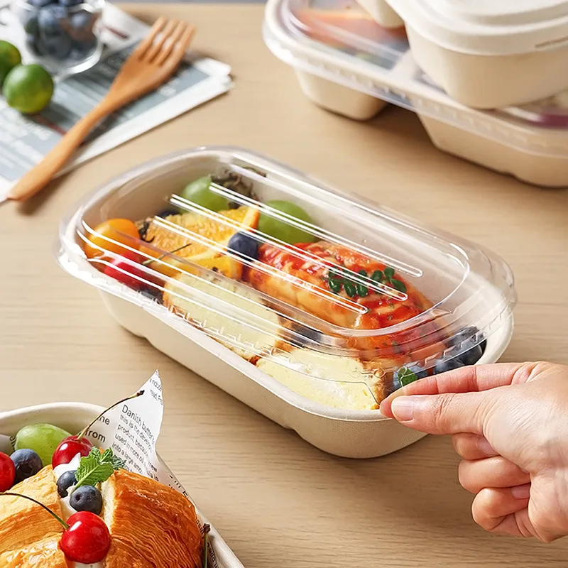 1000 ml biologisch abbaubare Light-Food-Box aus Zuckerrohr